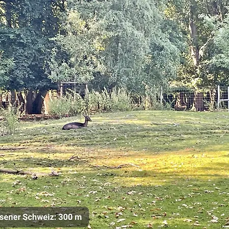 Kvartier2 In Top-lage, 5 Min Zur Bali-therme Und Gop, Hdz, Arbeitsplatz, Boxspringbett