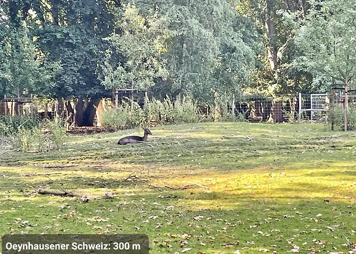 Kvartier2 In Top-lage, 5 Min Zur Bali-therme Und Gop, Hdz, Arbeitsplatz, Boxspringbett